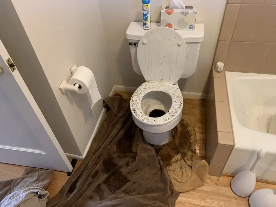 Overflowing Toilets