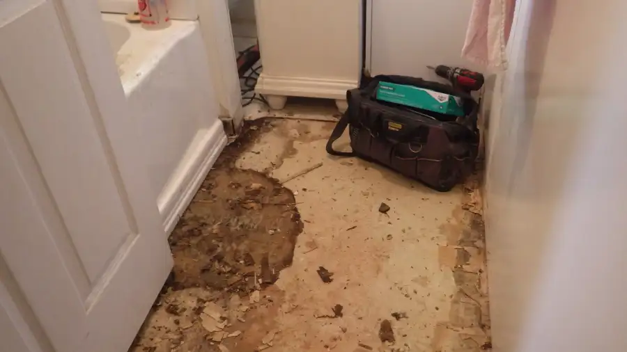 Sewer Backups