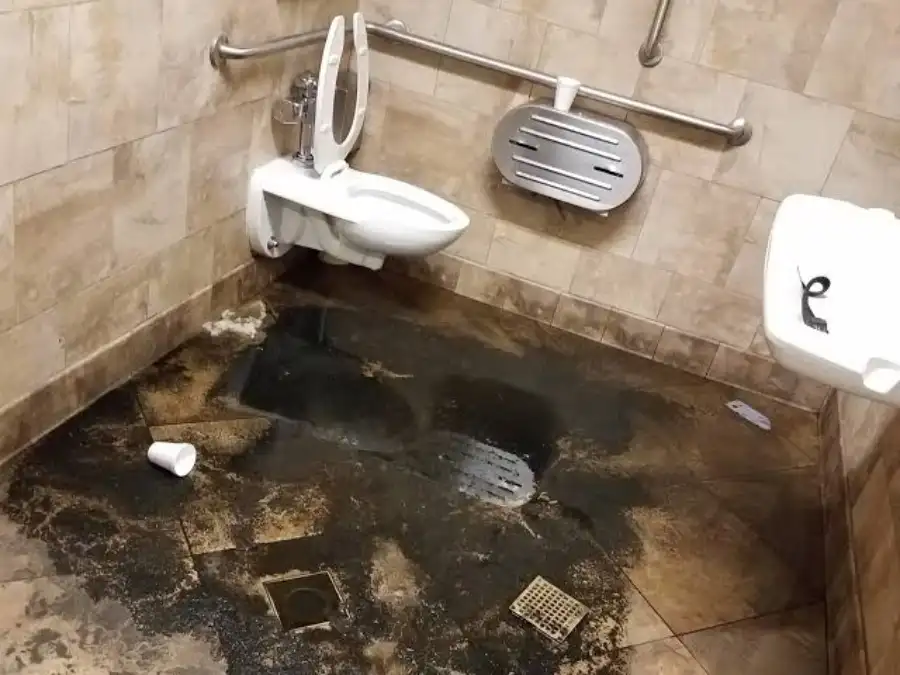 Major Drain Clogs